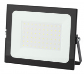 Прожектор светодиодный IZLED PROM 70 (70W-5600 Lm-6500 K-IP65) KT