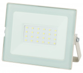 Прожектор светодиодный IZLED PROM 30 (30W-2400 Lm-6500 K-IP65) KT